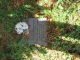 image of grave number 527648